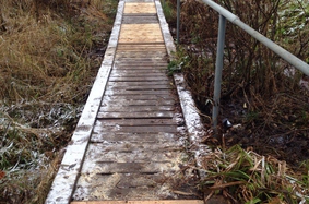 Токсовская служба заказчика обновила мостик на Кривом озере