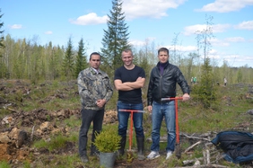 Токсовчане приняли участие во «Всероссийском дне посадки леса»