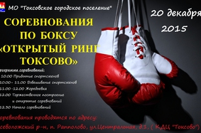 20 декабря  в 12.30 Соревнования по боксу